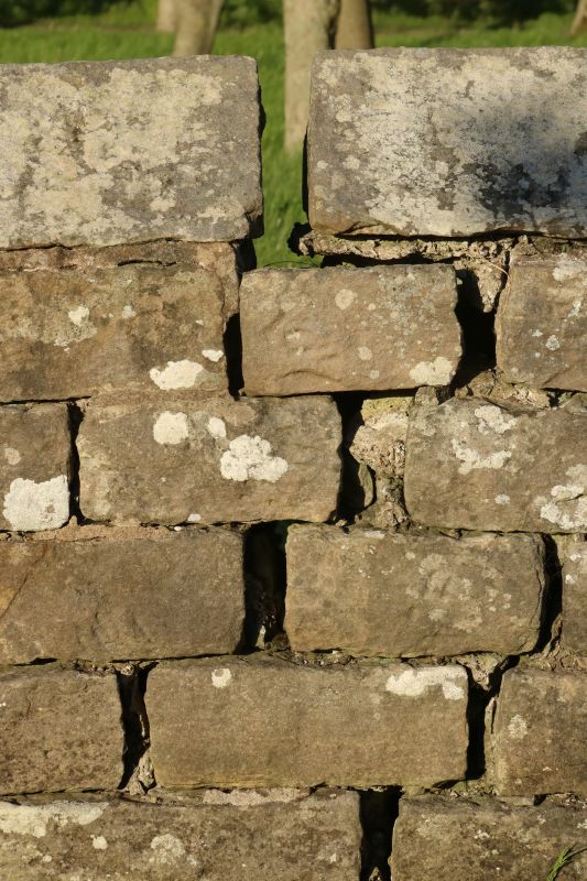 Stone Wall Repair in Roy, UT